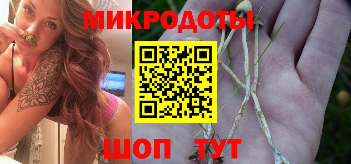 Псилоцибиновые грибы Magic Shrooms Сызрань