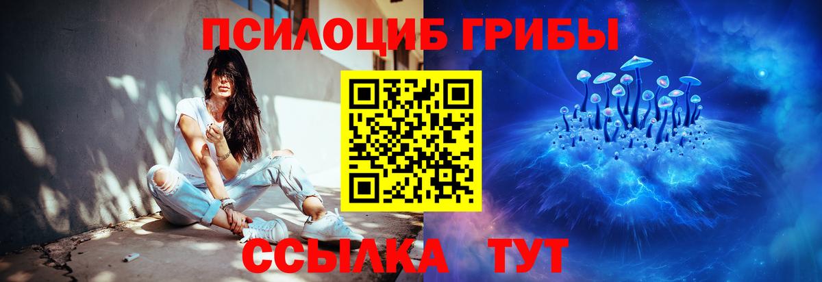 Сызрань  где купить   Галлюциногенные грибы MAGIC MUSHROOMS  Вход с VPN  Галлюциногенные грибы Psilocybine cubensis 